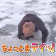 ヒメ日記 2026/09/01 23:21 投稿 ぽぽ ドMな奥様 京都店