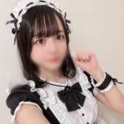 ヒメ日記 2026/08/23 14:02 投稿 こむぎ JAPAN CLUB BUNNY LOUNGE