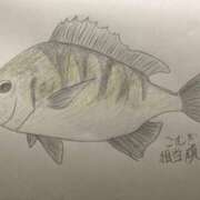 ヒメ日記 2026/09/20 11:29 投稿 こむぎ 新宿女学園