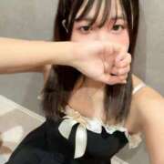 ヒメ日記 2026/08/31 09:38 投稿 りと ロイヤル土佐