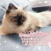 ヒメ日記 2026/09/09 18:02 投稿 ゆの 君とふわふわプリンセスin熊谷