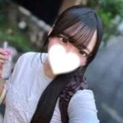 ヒメ日記 2026/09/11 23:29 投稿 ことり ウルトラドリーム