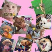 ヒメ日記 2026/09/10 14:29 投稿 りいさ 西川口ちゃんこ