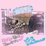 ヒメ日記 2026/10/09 19:29 投稿 りいさ 西川口ちゃんこ