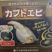 ヒメ日記 2026/09/07 19:28 投稿 川原（かわはら） あさがお