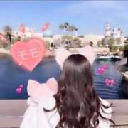 ヒメ日記 2026/09/20 07:48 投稿 桃香(ももか) 京都BOOK MARK（ブックマーク）