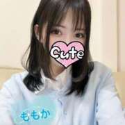 ヒメ日記 2026/09/23 07:48 投稿 桃香(ももか) 京都BOOK MARK（ブックマーク）