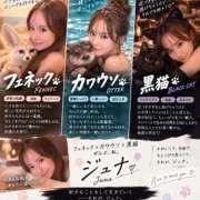 ヒメ日記 2026/09/14 10:27 投稿 JUNA【ジュナ】 BLENDA V.I.P東京店