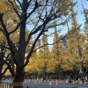 ヒメ日記 2026/09/05 18:01 投稿 まみ ハニープラザ（ユメオト）