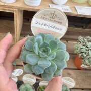 ヒメ日記 2026/10/09 14:16 投稿 ふみの ジュエルズ