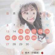 ヒメ日記 2026/09/11 21:00 投稿 こなつ 姫コレクション