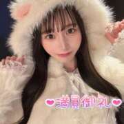 ヒメ日記 2026/09/19 00:56 投稿 こなつ 姫コレクション