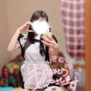 ヒメ日記 2026/09/20 13:00 投稿 こなつ 姫コレクション