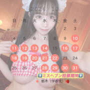 ヒメ日記 2026/10/05 09:13 投稿 こなつ 姫コレクション