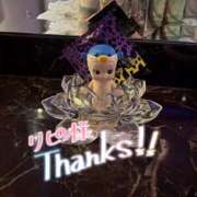 ヒメ日記 2026/10/13 11:29 投稿 こなつ 姫コレクション