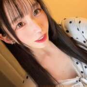 ヒメ日記 2026/10/21 07:06 投稿 こなつ 姫コレクション