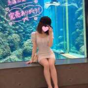 ヒメ日記 2026/09/29 09:02 投稿 桜井ひなの(さくらいひなの) 姫路マダム大奥