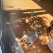 ヒメ日記 2026/09/21 13:01 投稿 あお チェックイン横浜女学園