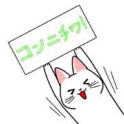 ヒメ日記 2026/09/08 12:17 投稿 新堂 かすみ こあくまな熟女たち小倉店（KOAKUMAグループ）