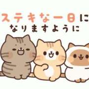 ヒメ日記 2026/10/09 08:08 投稿 新堂 かすみ こあくまな熟女たち小倉店（KOAKUMAグループ）