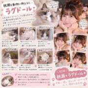ヒメ日記 2026/09/20 02:38 投稿 桃瀬 陽菜 KOBE GOLD（神戸ゴールド）
