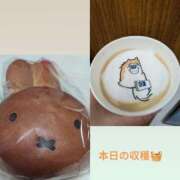 ヒメ日記 2026/09/08 16:51 投稿 戸田ゆうな こあくまな熟女たち 神戸西・明石店（KOAKUMAグループ）