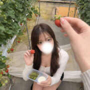 ヒメ日記 2026/09/12 01:15 投稿 みう SEXIS-セクシーズ-