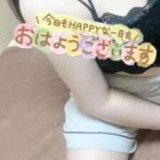 ヒメ日記 2026/09/17 14:15 投稿 わらび 姫マーケット