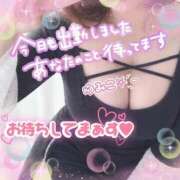 ヒメ日記 2026/09/18 16:02 投稿 ゆみこ 西東京市小平ちゃんこ