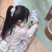 ヒメ日記 2026/10/24 11:01 投稿 ゆる ビギナーズ和歌山