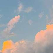 ヒメ日記 2026/08/24 01:23 投稿 白咲【ハクラ】 LOVEキタ兎我野店