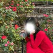 雅姫【ミヤビ】 お花に囲まれて幸せ...🥀𓈒 𓏸 club MARIA(大阪)
