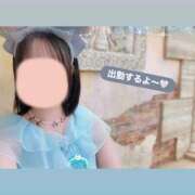 ヒメ日記 2026/08/26 10:54 投稿 れい 白いぽっちゃりさん