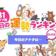 ヒメ日記 2026/08/25 00:58 投稿 ほのか 川越おかあさん