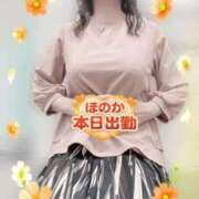 ヒメ日記 2026/09/17 11:28 投稿 ほのか 川越おかあさん