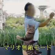 ヒメ日記 2026/09/23 00:58 投稿 ほのか 川越おかあさん