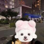 ヒメ日記 2026/09/07 23:22 投稿 桜庭めい 渋谷ミルク