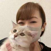 ヒメ日記 2026/09/02 12:16 投稿 しのぶ 横浜人妻花壇本店