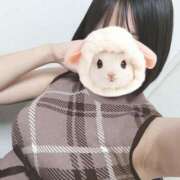 ヒメ日記 2026/09/13 10:02 投稿 みお ぽっちゃり巨乳素人専門店ぷにめろ池袋店