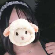 ヒメ日記 2026/09/27 22:12 投稿 みお ぽっちゃり巨乳素人専門店ぷにめろ池袋店