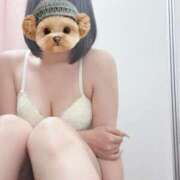ヒメ日記 2026/10/12 00:52 投稿 みお ぽっちゃり巨乳素人専門店ぷにめろ池袋店
