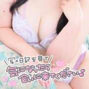 ヒメ日記 2026/08/28 17:09 投稿 あやめ One More 奥様　五反田店