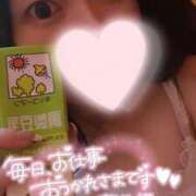 ヒメ日記 2026/09/08 20:59 投稿 あやめ One More 奥様　五反田店