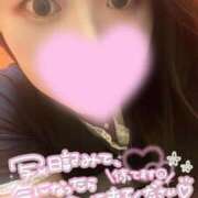 ヒメ日記 2026/09/09 20:27 投稿 あやめ One More 奥様　五反田店