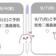 ヒメ日記 2026/09/05 11:41 投稿 しろせ★齊藤な〇さ激似の天使★ Chloe五反田本店　S級素人清楚系デリヘル