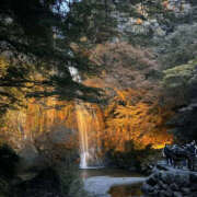 ふみ 秋の風景🍂 Beppin house