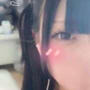 ヒメ日記 2026/09/04 12:52 投稿 はむ LEVEL1