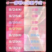 ヒメ日記 2026/09/24 16:21 投稿 ぴんく ハピネス水戸