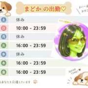 ヒメ日記 2026/09/11 12:45 投稿 まどか 華椿（YESグループヨコハマ）