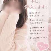 ヒメ日記 2026/08/24 11:32 投稿 せれな【9頭身の高身長美女】 STELLA NEXT－ステラネクスト－